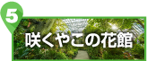 咲くやこの花館